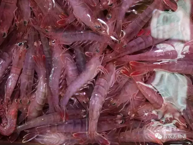 青岛大虾（各种青岛大虾）-第11张图片