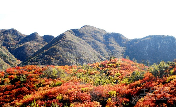 阴宅风水图(阴宅风水知识)-第3张图片 阴宅风水图(阴宅风水知识)-第3张图片