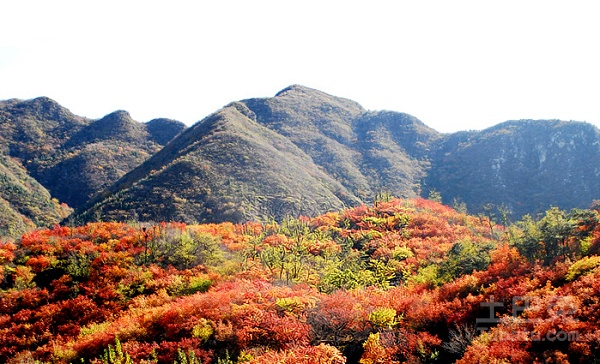 阴宅风水图（阴宅风水知识）-第3张图片