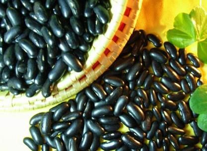 黑豆与黑芸豆的区别（如何鉴别黑豆和黑芸豆）-第1张图片