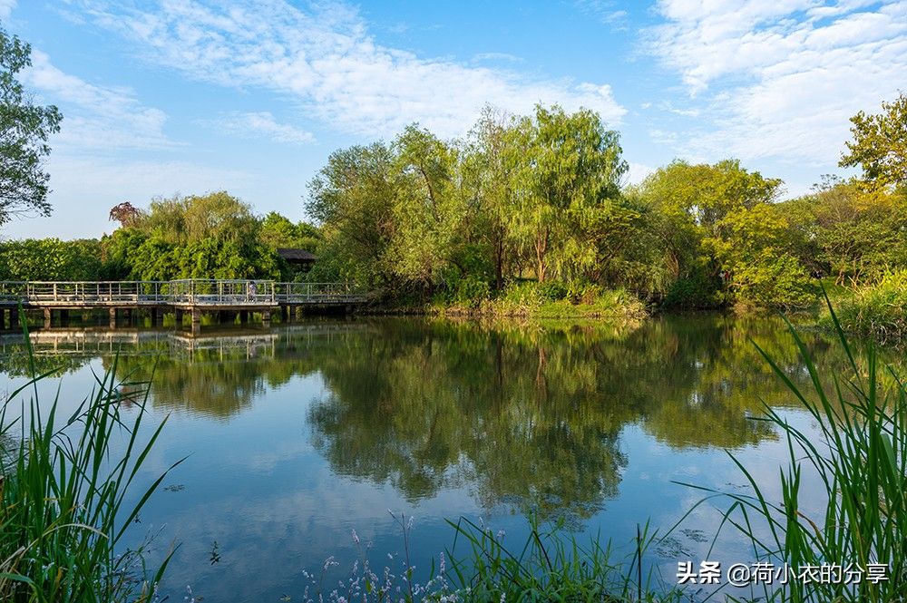 我国第一个国家湿地公园（中国首个国家湿地公园，70%的水域面积）-第6张图片