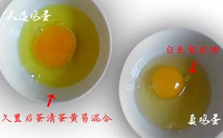 怎么辨别假鸡蛋（如何辨别“真假”鸡蛋？）-第1张图片