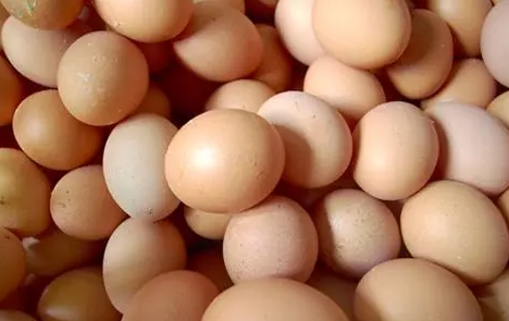 怎么辨别假鸡蛋（如何辨别“真假”鸡蛋？）-第5张图片