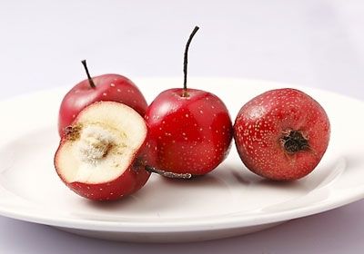 冬季吃什么水果好（冬季吃什么水果最佳）-第3张图片