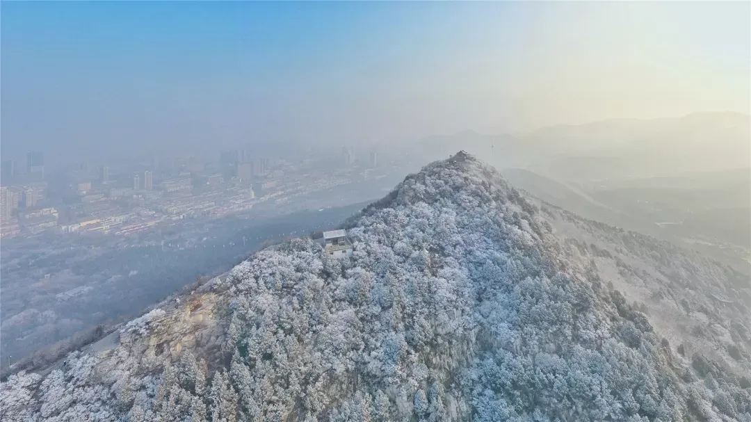 济南的雪（济南真的下雪啦！）-第2张图片