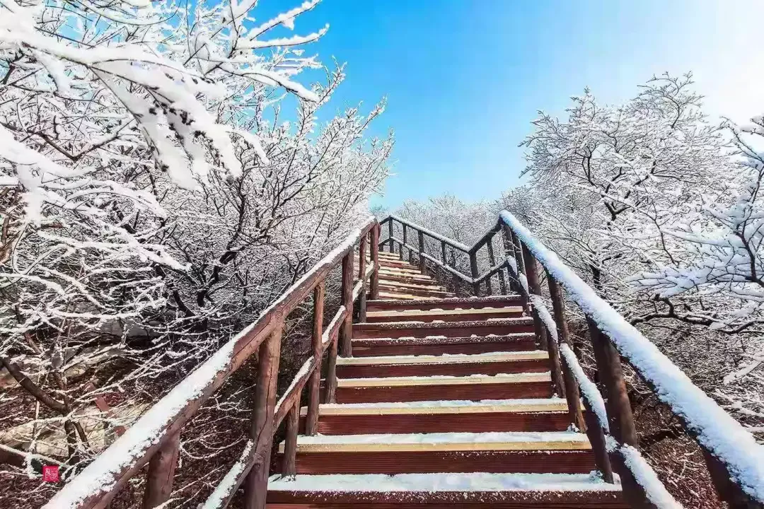 济南的雪（济南真的下雪啦！）-第7张图片
