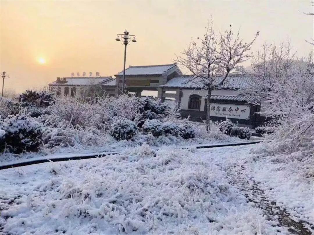 济南的雪（济南真的下雪啦！）-第30张图片