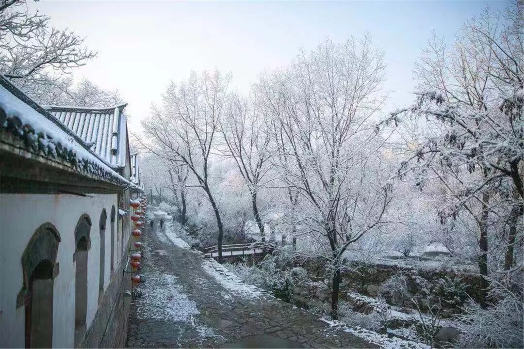 济南的雪（济南真的下雪啦！）-第32张图片