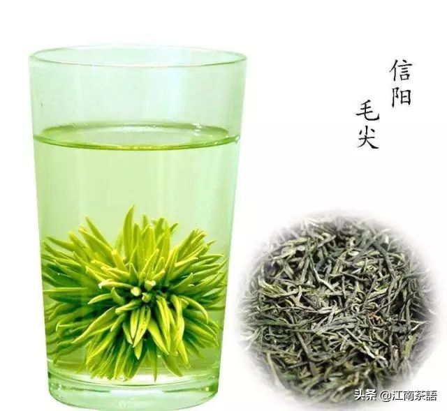 中国十大茶叶（新中国十大名茶历次排行榜）-第8张图片