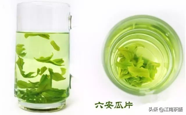 中国十大茶叶（新中国十大名茶历次排行榜）-第7张图片