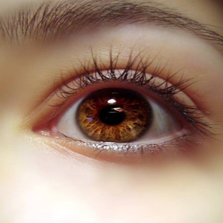 保护视力的方法（如何护眼防眼衰，6个护眼方法）-第1张图片