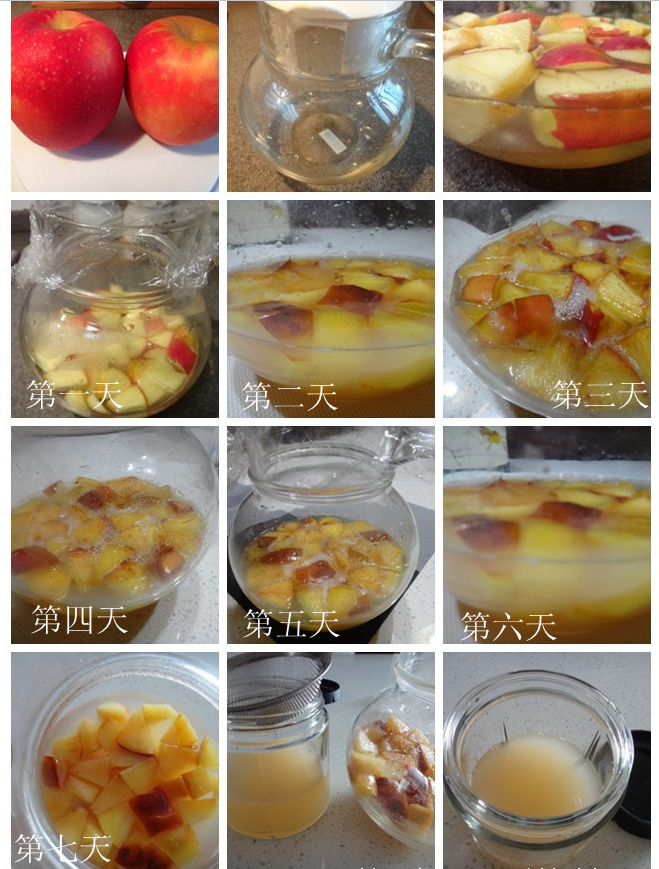 苹果天然酵母怎么养(苹果酵母)-第2张图片