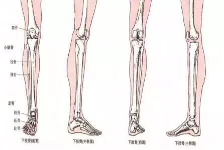 小腿骨膜炎的症状（小腿骨膜炎的主要症状有哪些？）-第2张图片