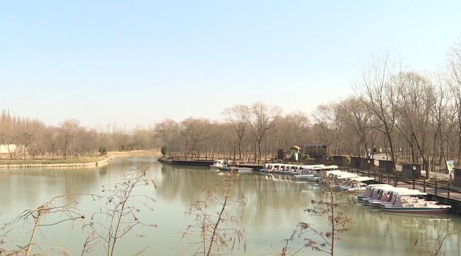 上海西沙湿地公园（西沙湿地开园啦！）-第26张图片