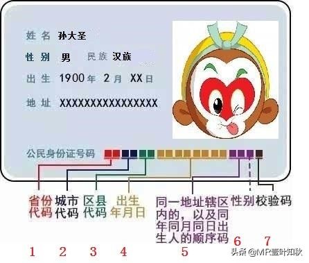 身份证号码的意义是（我国身份证18位号码的详细含意）-第1张图片