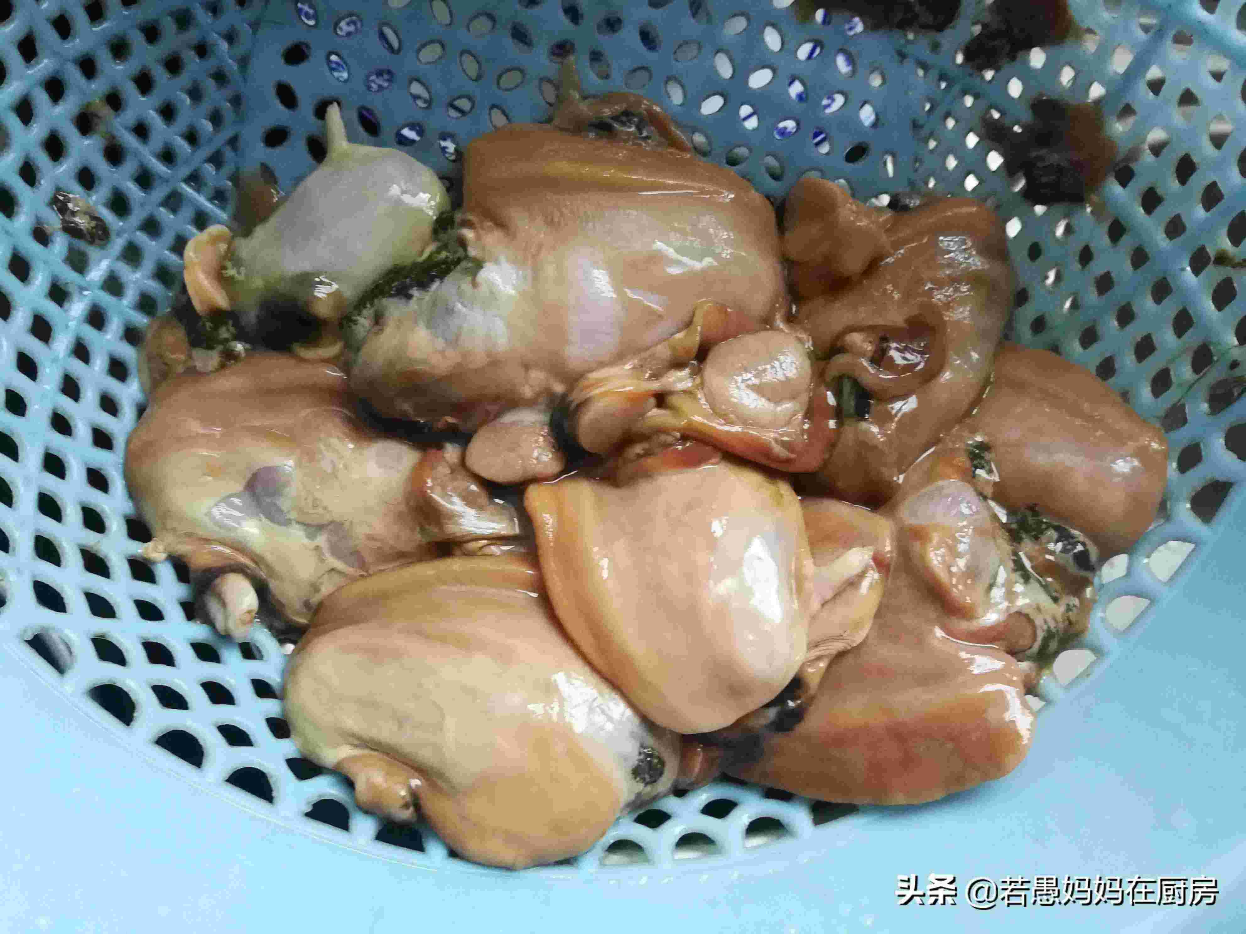 河蚌怎么做（河蚌最好吃的做法）-第4张图片