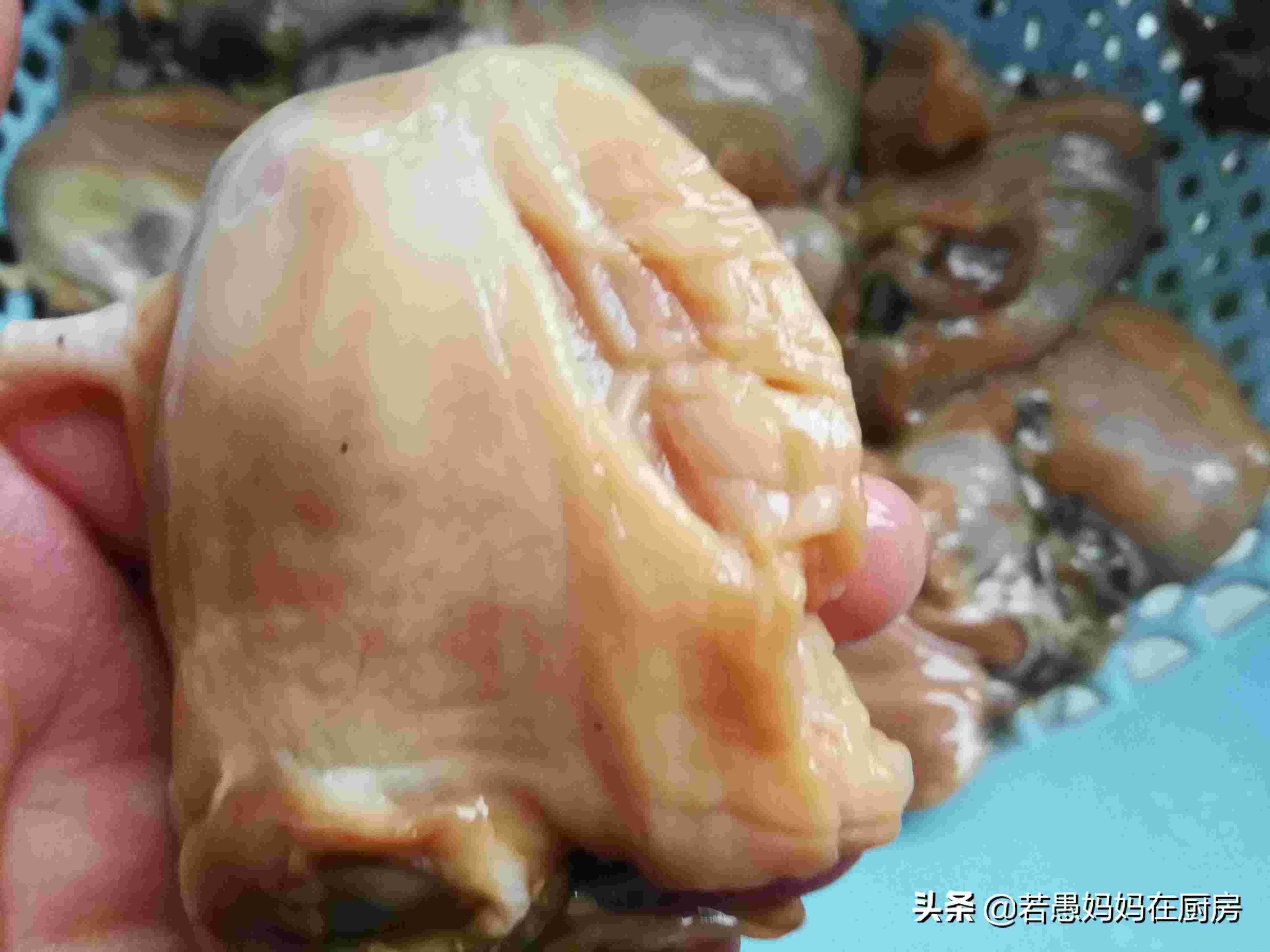 河蚌怎么做（河蚌最好吃的做法）-第5张图片