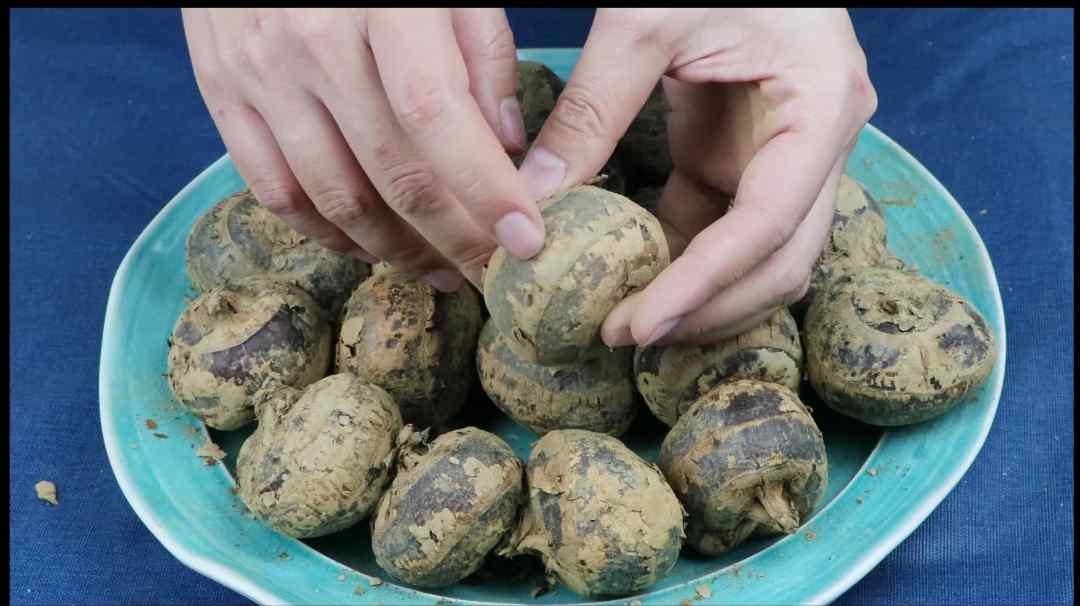 荸荠是什么？（如何挑选荸荠）-第4张图片
