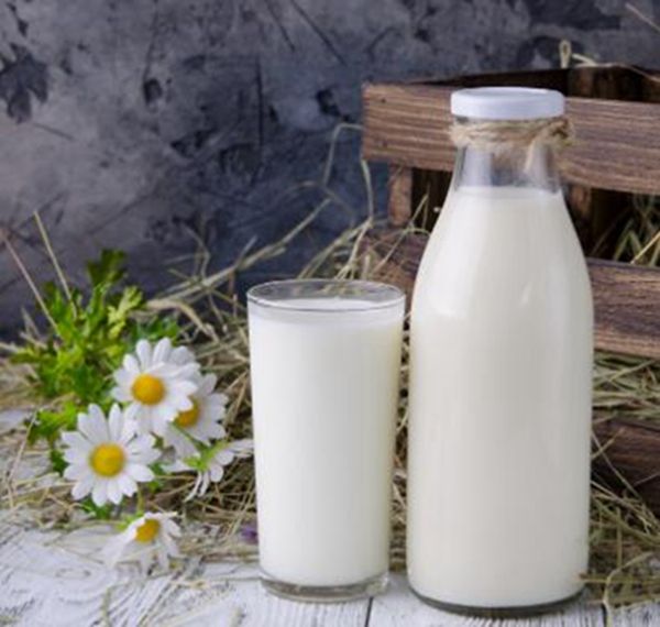 纯牛奶的功效与作用（纯牛奶有哪些好处吗？）-第2张图片