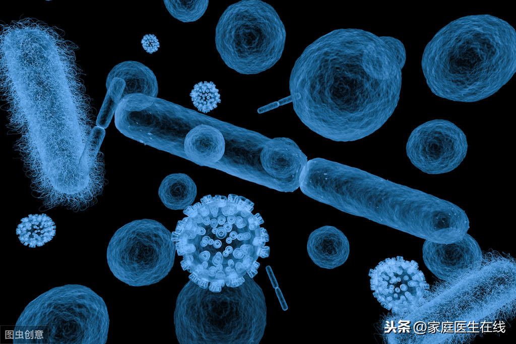 细菌性痢疾（细菌性痢疾是怎样引起的？）-第2张图片