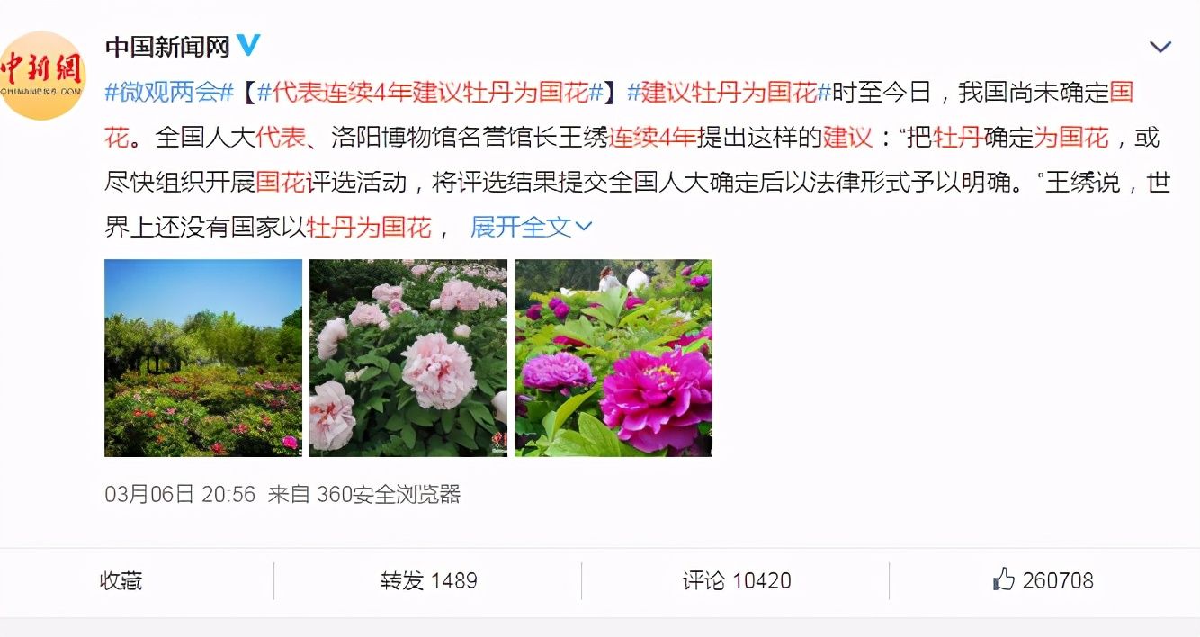 中国的国花（中国国花是什么？）-第4张图片