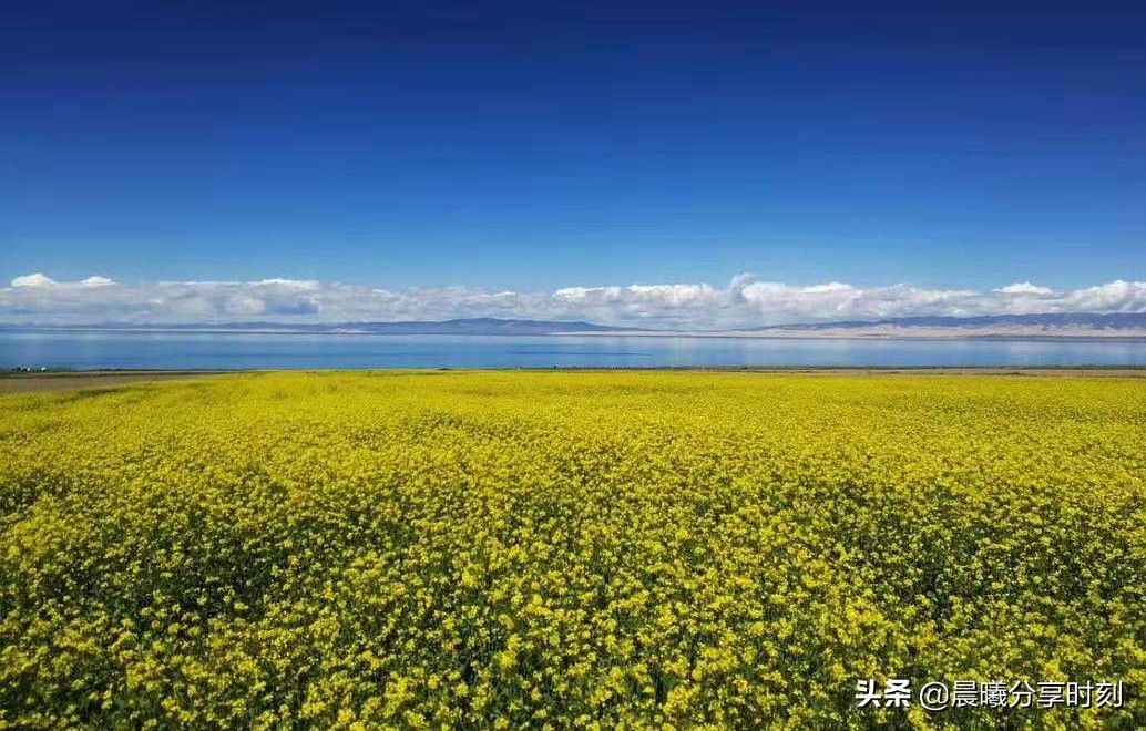 中国最大的湖（中国最大的湖泊—青海湖）-第15张图片
