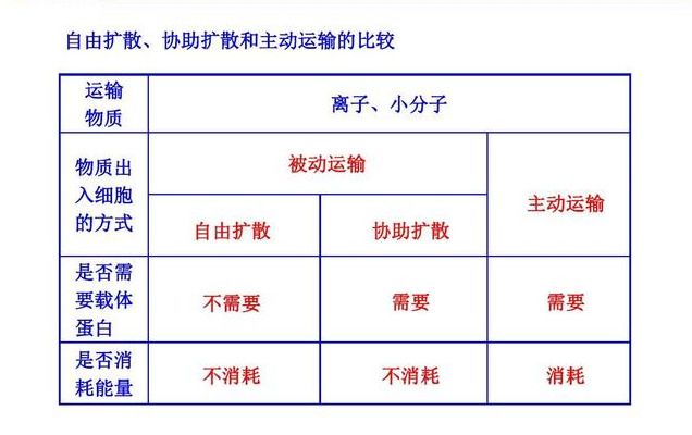 物质跨膜运输的方式（物质跨膜运输方式）-第5张图片