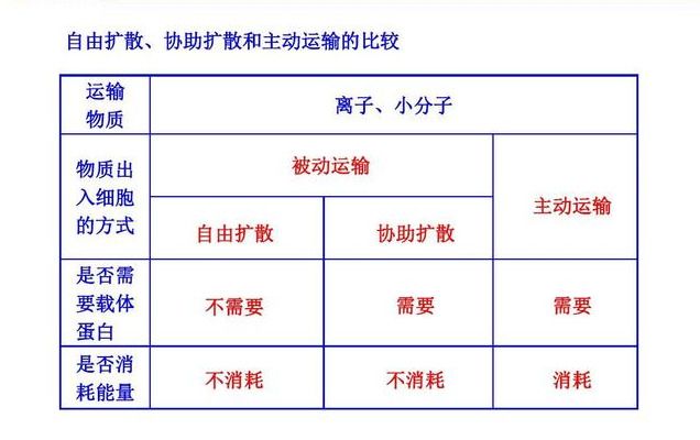 物质跨膜运输的方式（物质跨膜运输方式）-第5张图片