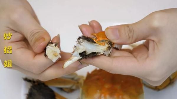 螃蟹的吃法（手把手教你大闸蟹的正确吃法）-第9张图片