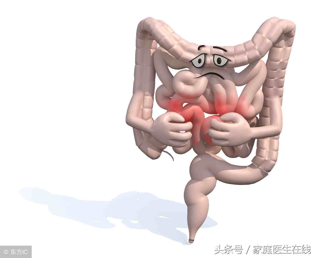 蒲公英茶哪些人不宜喝（为什么有些人喝蒲公英茶会拉肚子）-第3张图片