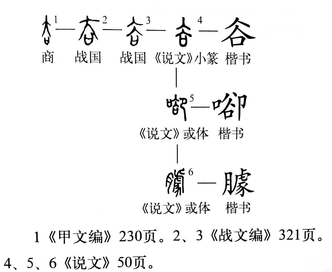 只得的拼音，只得读音为什么不是的-第8张图片