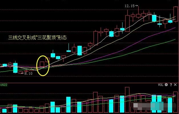 三花聚顶的人的面相(三花聚顶的是什么人)-第3张图片