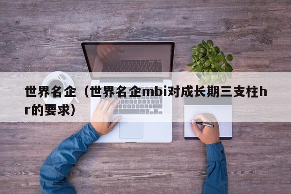 世界名企（世界名企mbi对成长期三支柱hr的要求）-第1张图片