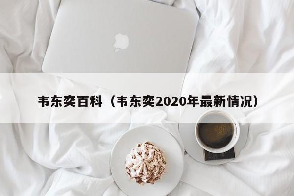 韦东奕百科（韦东奕2020年最新情况）-第1张图片