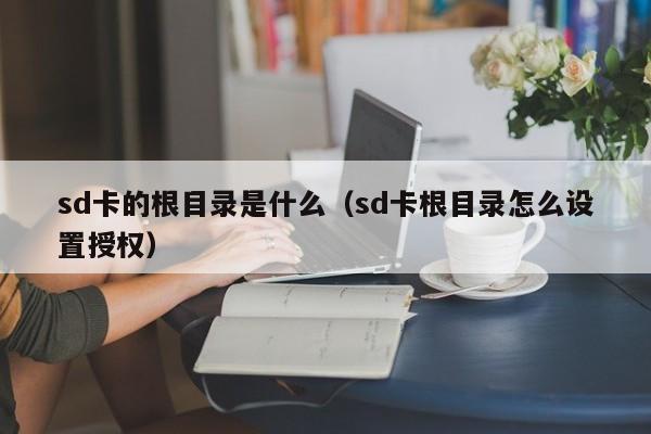 sd卡的根目录是什么（sd卡根目录怎么设置授权）-第1张图片