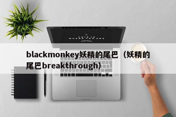 blackmonkey妖精的尾巴（妖精的尾巴breakthrough）-第1张图片