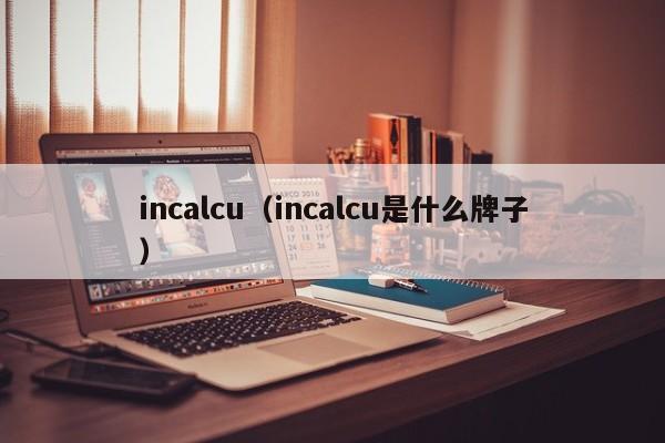 incalcu（incalcu是什么牌子）-第1张图片