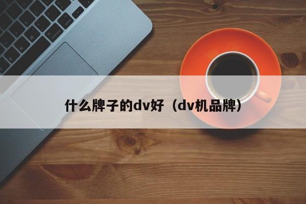 什么牌子的dv好（dv机品牌）-第1张图片