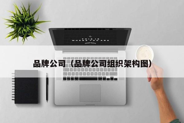 品牌公司（品牌公司组织架构图）-第1张图片