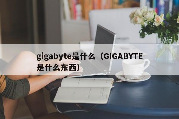 gigabyte是什么（GIGABYTE是什么东西）-第1张图片