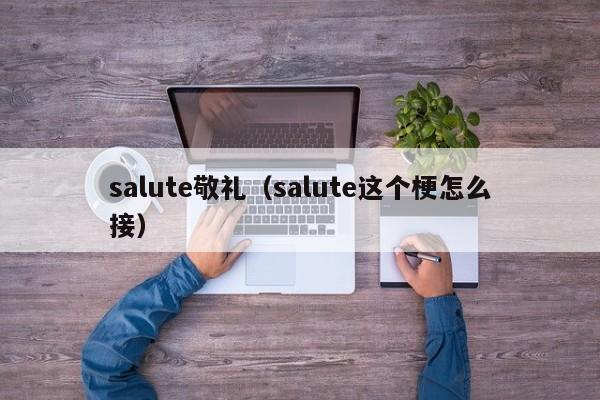 salute敬礼（salute这个梗怎么接）-第1张图片