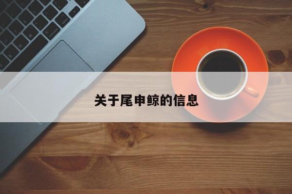 关于尾申鲸的信息-第1张图片