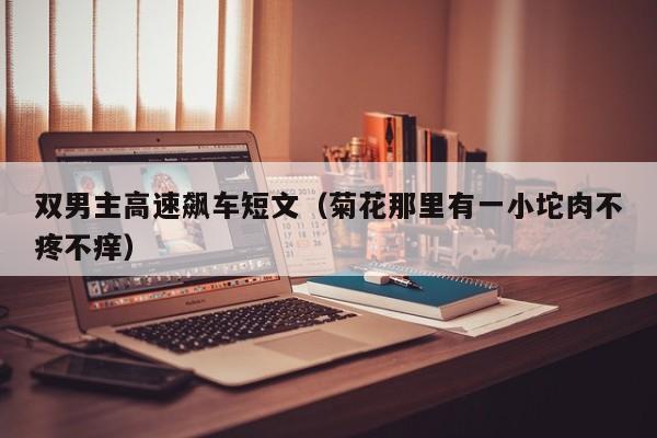 双男主高速飙车短文（菊花那里有一小坨肉不疼不痒）-第1张图片