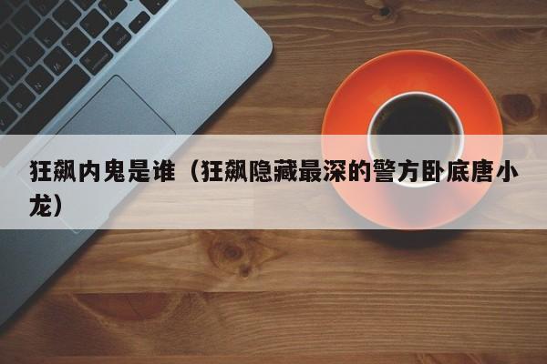 狂飙内鬼是谁（狂飙隐藏最深的警方卧底唐小龙）-第1张图片