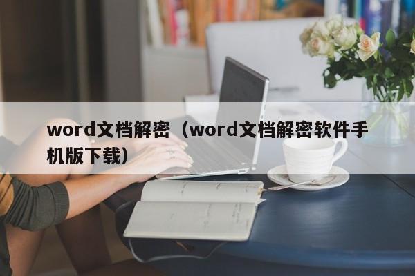 word文档解密（word文档解密软件手机版下载）-第1张图片