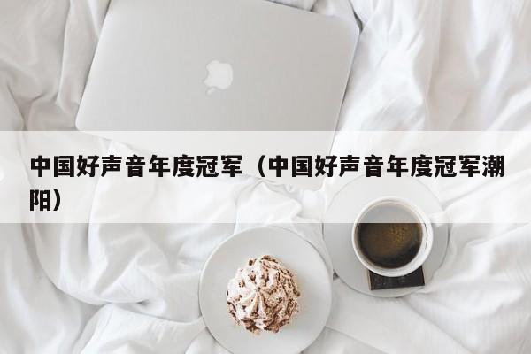 中国好声音年度冠军（中国好声音年度冠军潮阳）-第1张图片