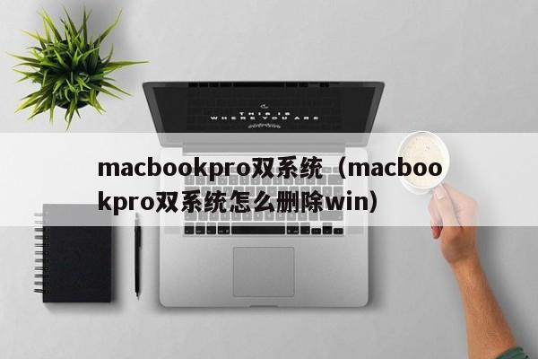 macbookpro双系统（macbookpro双系统怎么删除win）-第1张图片